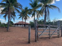 IMÓVEL RURAL COM 335 HECTARES EM PADRE BERNARDO-GO