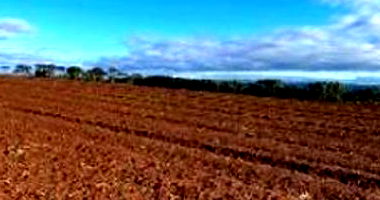 Imóvel Rural com Área de 8,1150 ha em Irineópolis-SC