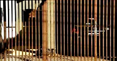 Casa com 2 quartos em Pirapozinho/SP