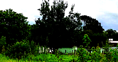 Terreno Amplo em Agrolândia/SC