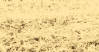 Terreno desocupado com 240m², excelente oportunidade de investimento