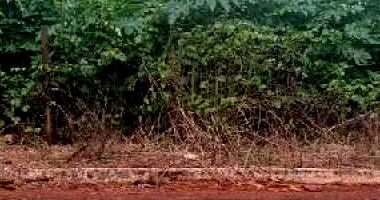 Terreno com 375m² em Dom Abel, Jataí - GO