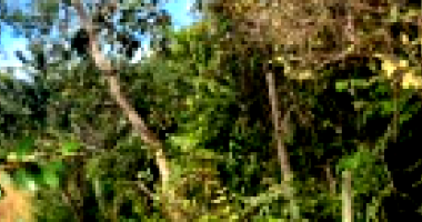 Lote Residencial em Valparaíso de Goiás com 5720m²