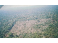 Fazenda Água Funda com 2.462 ha, 3 quartos, desocupada