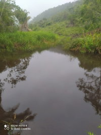 Fazenda Estrela D'Alva com 122ha em Tapiramutá/BA