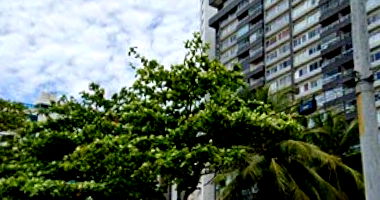 Apartamento com 4 quartos e 1 vaga em Boa Viagem, Recife/PE