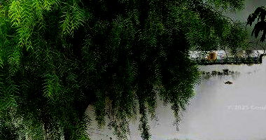 Fazenda Tiroleza - 149,15 hectares com casa sede