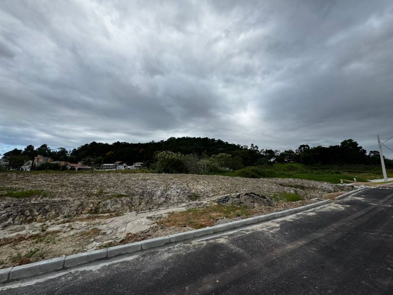 Terreno em Passa Vinte com 4.920m²