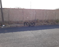Terreno Urbano com Amplo Potencial em Araraquara/SP