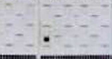 Casa padrão com 2 quartos, 1 banheiro, 1 vaga, 64m² construída, ocupada