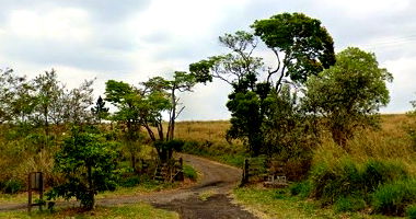 Imóvel Rural com 27ha em Piraju/SP