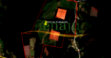 Fazenda Taquari Matriz com Benfeitorias