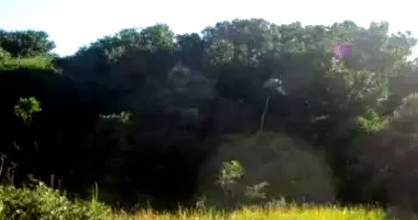 Terreno com 250m² em Balneário Vila Nova - Ilha Comprida/SP