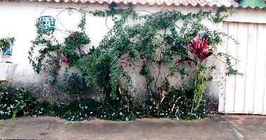 Casa com 2 quartos e 1 banheiro, 51.12m²