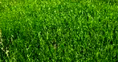 Terreno Rural com 24,20ha em Brasnorte - MT