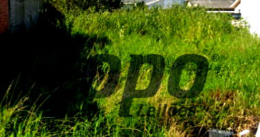 Direitos sobre Terreno Urbano em Fazenda Rio Grande/PR