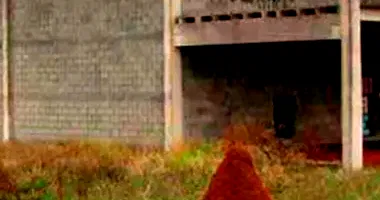 Galpão Industrial em Construção com Terreno Amplo em Tatuí/SP