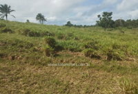 Terreno Residencial em Salinas da Margarida/BA