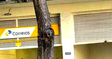 Loja Comercial em Bela Vista, São Paulo - SP