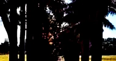 Área Rural com 293,18ha em Itararé/SP - Ocupado