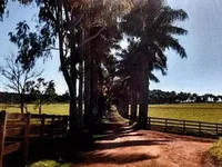 Área Rural com 293,18ha em Itararé/SP -