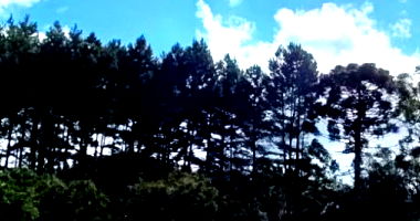 Terreno Rural em São José dos Pinhais com 56.918,51 m²