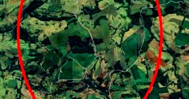 Área Rural de 1,31 alq. em Palmital/PR