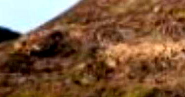 Terreno em Condomínio Ecológico com 627m² em Maricá/RJ