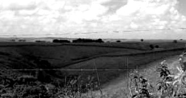 Fazenda com 32 Hectares em Jundiá-AL