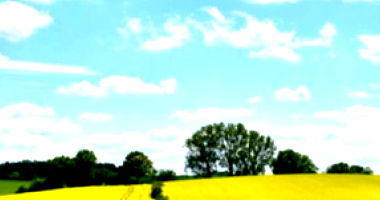 Imóvel Rural com Barracões e Casas, Área Construída Ampla