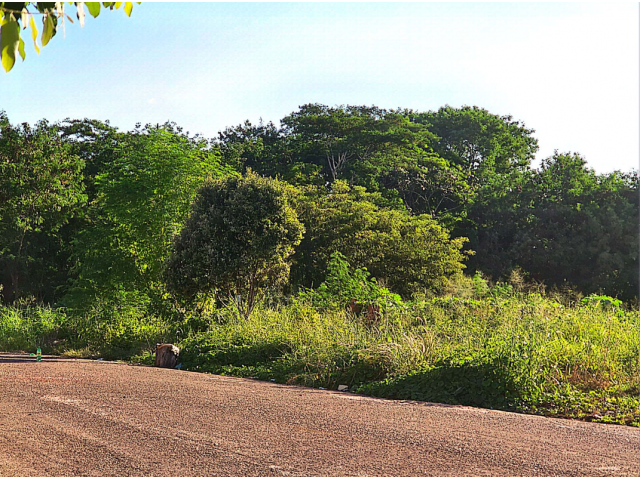 Terreno c/ 590m² em Rondonópolis/MT