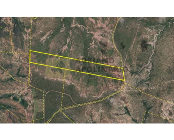 Fazenda com 94,09 ha em Santa Fé de Minas