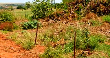 Terreno com 2.000m² em Paranacity/PR