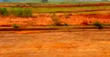 Terreno desocupado com 250m² em Jardim Botânico I, Marília