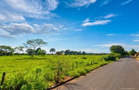 Gleba de Terras com 9,83 Hectares em Cardoso/SP