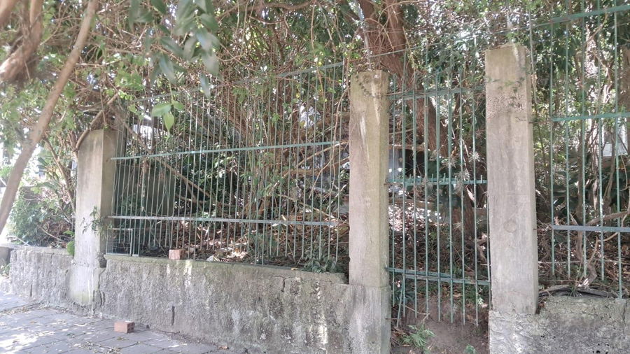 Casa Ocupada com Terreno de 738m² no Menino Deus