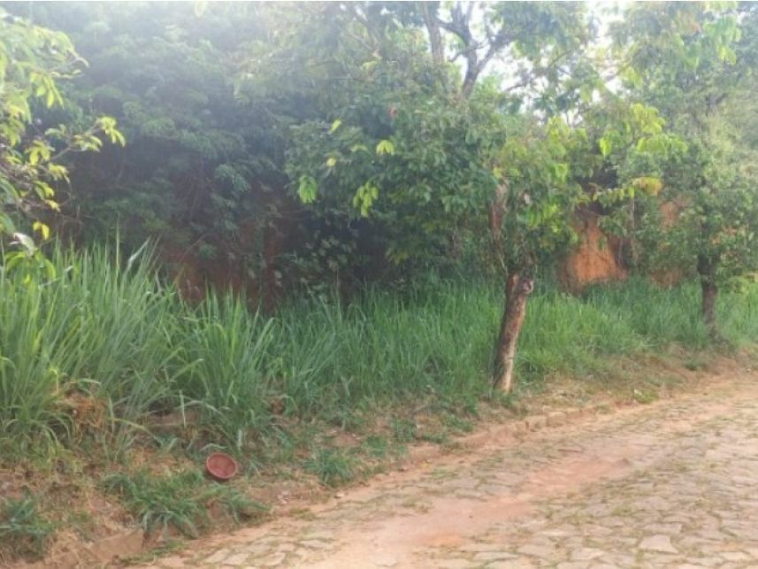 Terreno amplo em Carangola - Oportunidade de investimento