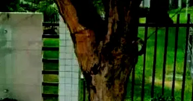 Apartamento em Leilão com 2 Quartos e 2 Vagas em Fortaleza