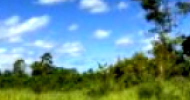 PA - ABAETETUBA com 600 imóveis no Brasil