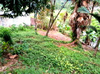 Terreno com 769,1m² em Vila Amizade, desocupado