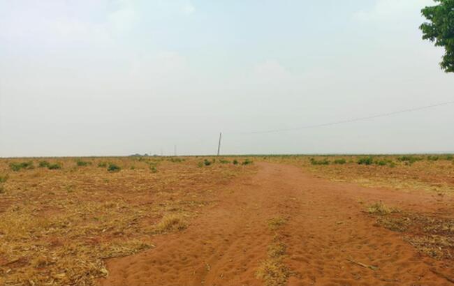 Espaçosa Fazenda de 194 ha com duas casas e dois barracões
