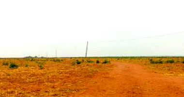 Espaçosa Fazenda de 194 ha com duas casas e dois barracões