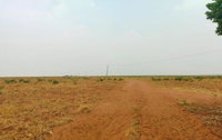 Espaçosa Fazenda de 194 ha com duas casas e dois barracões