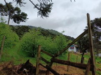 Sítio com 67.085,02 m², 2 casas e galpão em São Joaquim-SC
