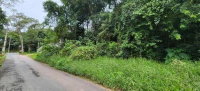 Terreno de 2.000m² em Barreirinha, Curitiba - PR