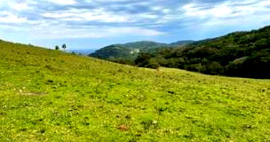 Imóvel Rural com 2,85 ha em Silveira Martins-RS
