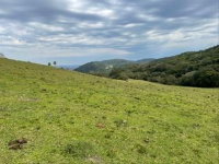 Imóvel Rural com 2,85 ha em Silveira Martins-RS