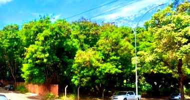 Fração Ideal de Terreno em Campo Grande - MS