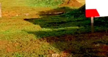 Terreno Amplo em Leilão - Estancia Itaici