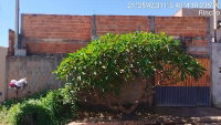 Casa com 1 Quarto e 83m² de Área Privativa em Rincão